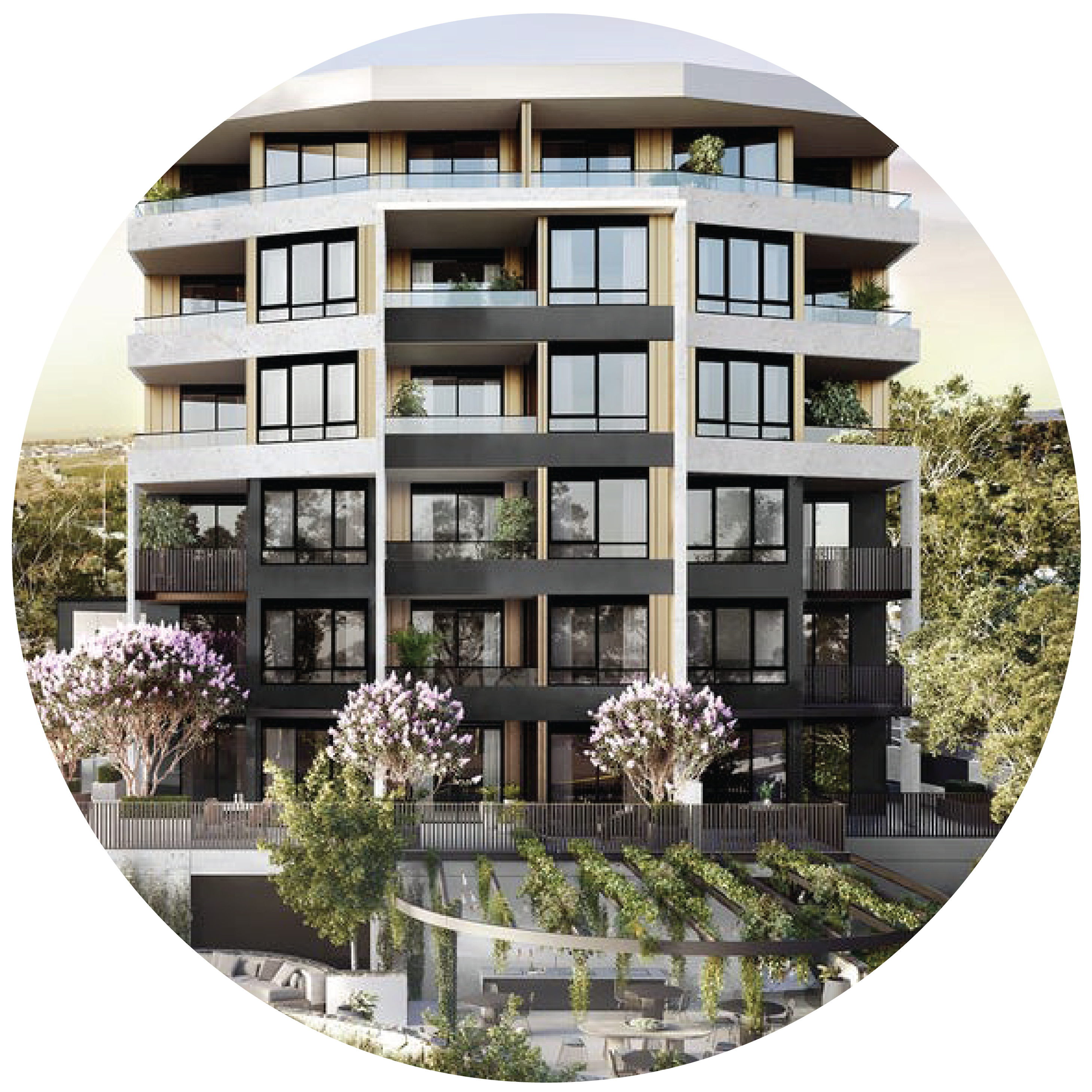 Main Image_Limited Edition